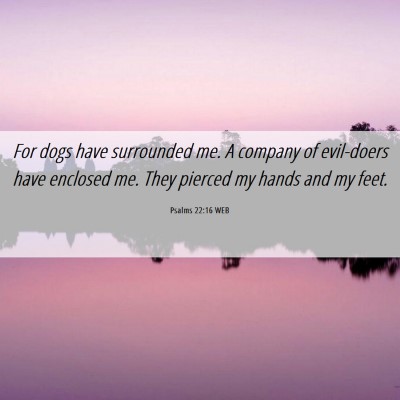 Picture 06 - Psalms 22:16 WEB - For dogs have surrounded me. A company of - Bible Verse Picture