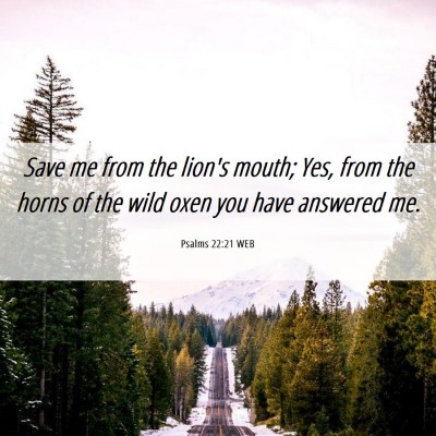 Picture 06 - Psalms 22:21 WEB - Save me from the lion's mouth; Yes, from the - Bible Verse Picture