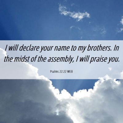 Picture 06 - Psalms 22:22 WEB - I will declare your name to my brothers. In the - Bible Verse Picture