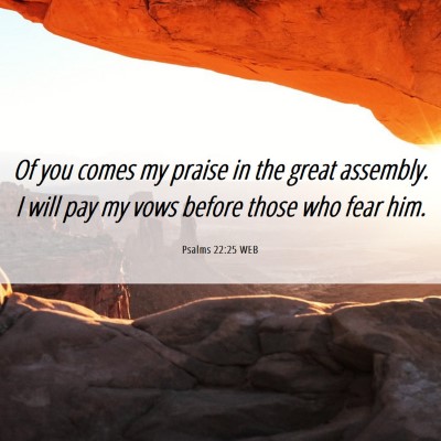 Picture 06 - Psalms 22:25 WEB - Of you comes my praise in the great assembly. I - Bible Verse Picture