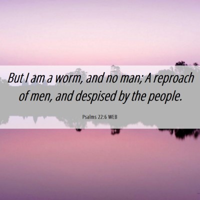 Picture 06 - Psalms 22:6 WEB - But I am a worm, and no man; A reproach of men, - Bible Verse Picture