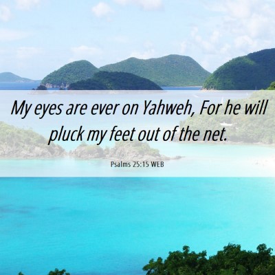 Picture 06 - Psalms 25:15 WEB - My eyes are ever on Yahweh, For he will pluck my - Bible Verse Picture