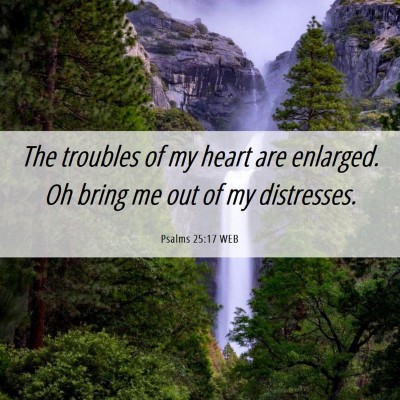 Picture 06 - Psalms 25:17 WEB - The troubles of my heart are enlarged. Oh bring - Bible Verse Picture