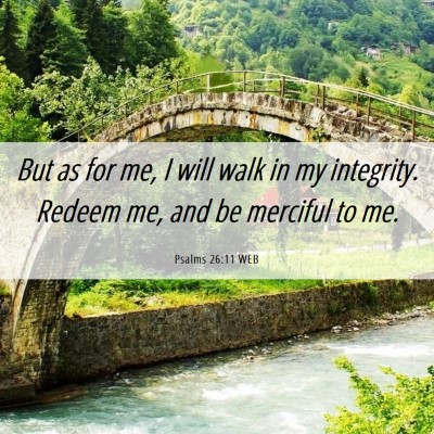 Picture 06 - Psalms 26:11 WEB - But as for me, I will walk in my integrity. - Bible Verse Picture