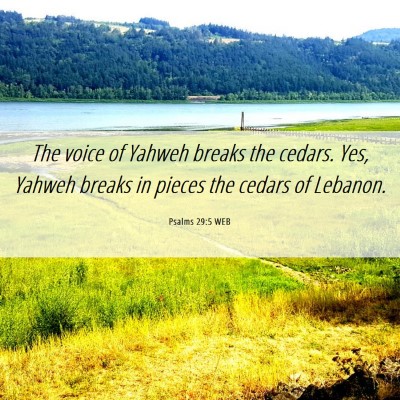 Picture 06 - Psalms 29:5 WEB - The voice of Yahweh breaks the cedars. Yes, - Bible Verse Picture