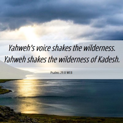 Picture 06 - Psalms 29:8 WEB - Yahweh's voice shakes the wilderness. Yahweh - Bible Verse Picture