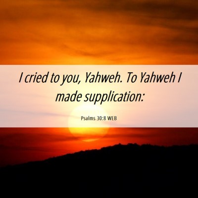 Picture 06 - Psalms 30:8 WEB - I cried to you, Yahweh. To Yahweh I made - Bible Verse Picture