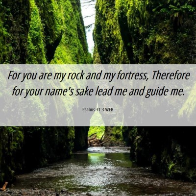 Picture 06 - Psalms 31:3 WEB - For you are my rock and my fortress, Therefore - Bible Verse Picture
