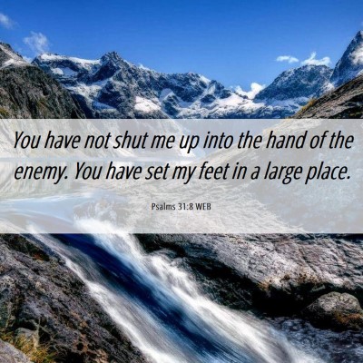 Picture 06 - Psalms 31:8 WEB - You have not shut me up into the hand of the - Bible Verse Picture