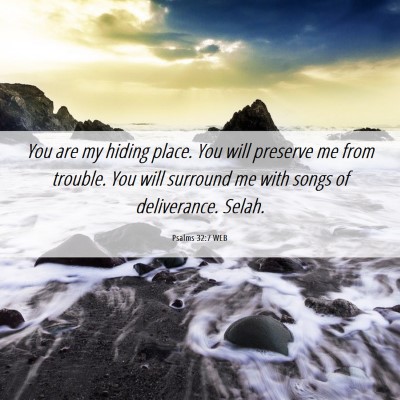 Picture 06 - Psalms 32:7 WEB - You are my hiding place. You will preserve me - Bible Verse Picture