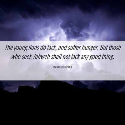 Picture 06 - Psalms 34:10 WEB - The young lions do lack, and suffer hunger, But - Bible Verse Picture