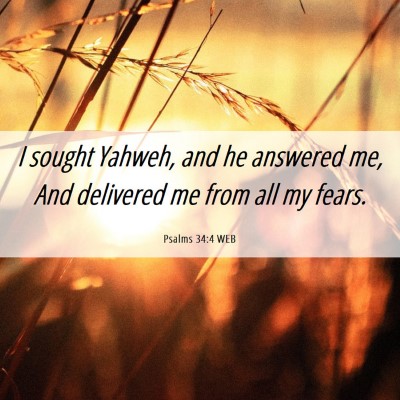 Picture 06 - Psalms 34:4 WEB - I sought Yahweh, and he answered me, And - Bible Verse Picture
