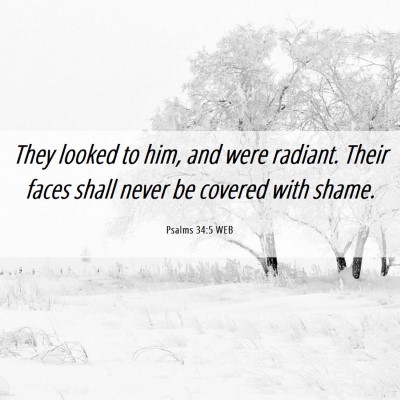 Picture 06 - Psalms 34:5 WEB - They looked to him, and were radiant. Their faces - Bible Verse Picture