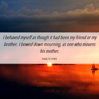 Picture 06 - Psalms 35:14 WEB - I behaved myself as though it had been my friend - Bible Verse Picture