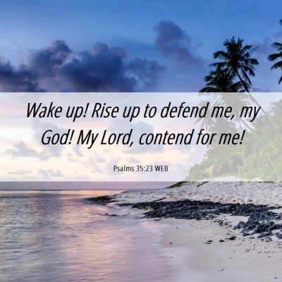 Picture 06 - Psalms 35:23 WEB - Wake up! Rise up to defend me, my God! My Lord, - Bible Verse Picture