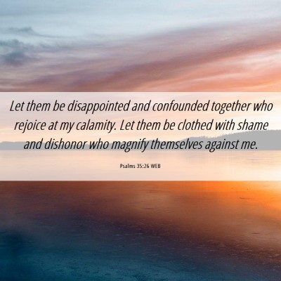 Picture 06 - Psalms 35:26 WEB - Let them be disappointed and confounded together - Bible Verse Picture