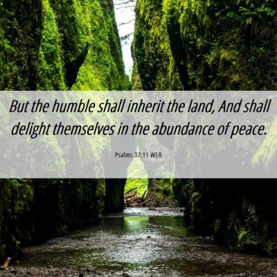 Picture 06 - Psalms 37:11 WEB - But the humble shall inherit the land, And shall - Bible Verse Picture