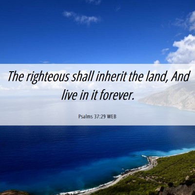 Picture 06 - Psalms 37:29 WEB - The righteous shall inherit the land, And live in - Bible Verse Picture