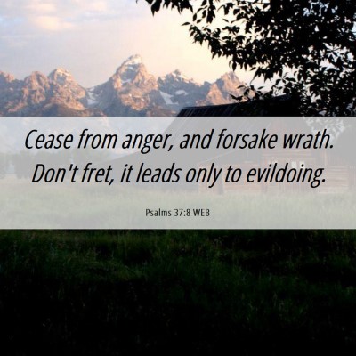 Picture 06 - Psalms 37:8 WEB - Cease from anger, and forsake wrath. Don't fret, - Bible Verse Picture