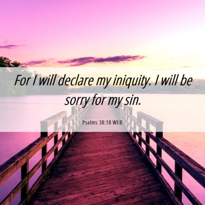Picture 06 - Psalms 38:18 WEB - For I will declare my iniquity. I will be sorry - Bible Verse Picture