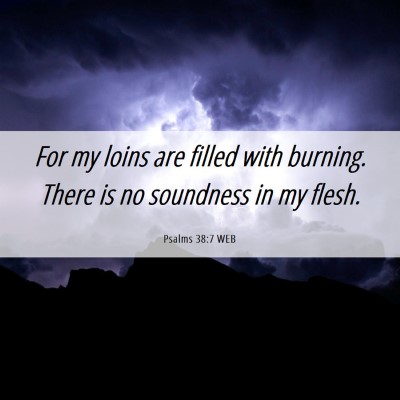 Picture 06 - Psalms 38:7 WEB - For my loins are filled with burning. There is no - Bible Verse Picture