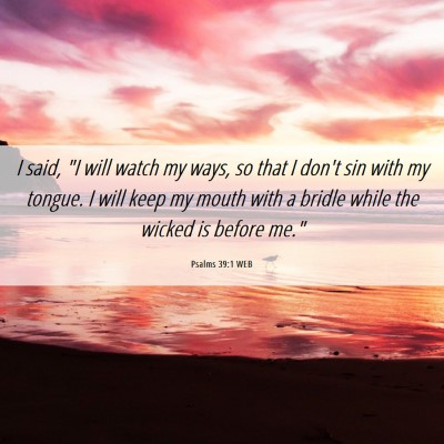 Picture 06 - Psalms 39:1 WEB - I said, 