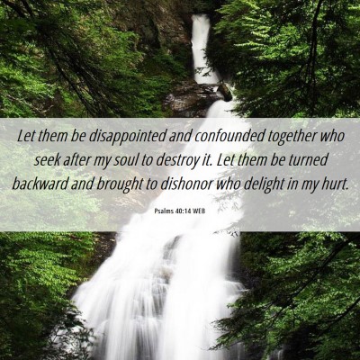 Picture 06 - Psalms 40:14 WEB - Let them be disappointed and confounded together - Bible Verse Picture