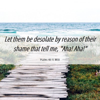 Picture 06 - Psalms 40:15 WEB - Let them be desolate by reason of their shame - Bible Verse Picture