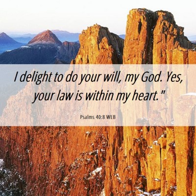 Picture 06 - Psalms 40:8 WEB - I delight to do your will, my God. Yes, your law - Bible Verse Picture