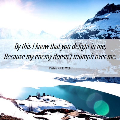 Picture 06 - Psalms 41:11 WEB - By this I know that you delight in me, Because my - Bible Verse Picture