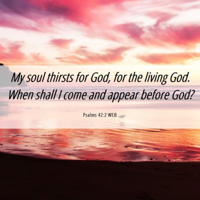 Picture 06 - Psalms 42:2 WEB - My soul thirsts for God, for the living God. When - Bible Verse Picture