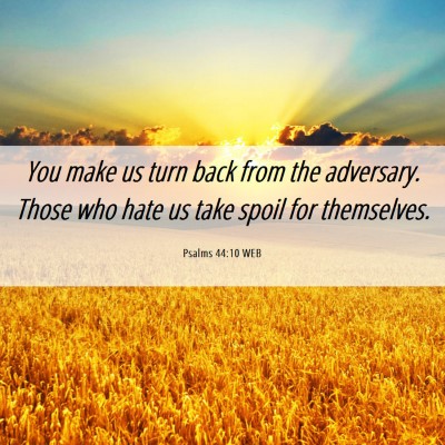 Picture 06 - Psalms 44:10 WEB - You make us turn back from the adversary. Those - Bible Verse Picture