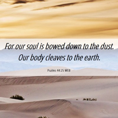 Picture 06 - Psalms 44:25 WEB - For our soul is bowed down to the dust. Our body - Bible Verse Picture
