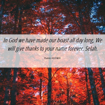 Picture 06 - Psalms 44:8 WEB - In God we have made our boast all day long, We - Bible Verse Picture