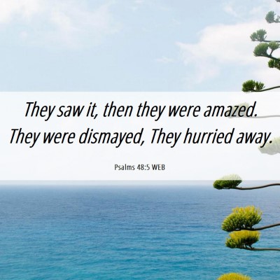 Picture 06 - Psalms 48:5 WEB - They saw it, then they were amazed. They were - Bible Verse Picture