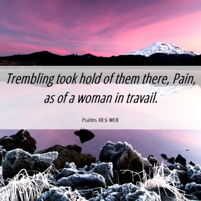 Picture 06 - Psalms 48:6 WEB - Trembling took hold of them there, Pain, as of a - Bible Verse Picture
