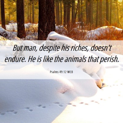 Picture 06 - Psalms 49:12 WEB - But man, despite his riches, doesn't endure. He - Bible Verse Picture