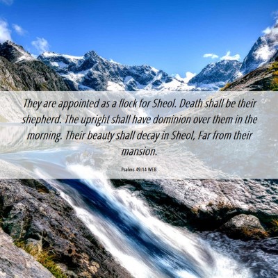 Picture 06 - Psalms 49:14 WEB - They are appointed as a flock for Sheol. Death - Bible Verse Picture