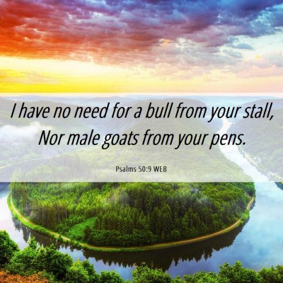 Picture 06 - Psalms 50:9 WEB - I have no need for a bull from your stall, Nor - Bible Verse Picture