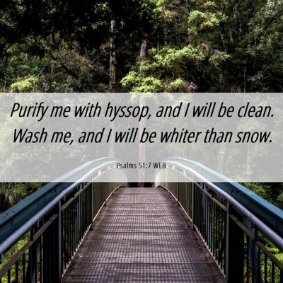 Picture 06 - Psalms 51:7 WEB - Purify me with hyssop, and I will be clean. Wash - Bible Verse Picture