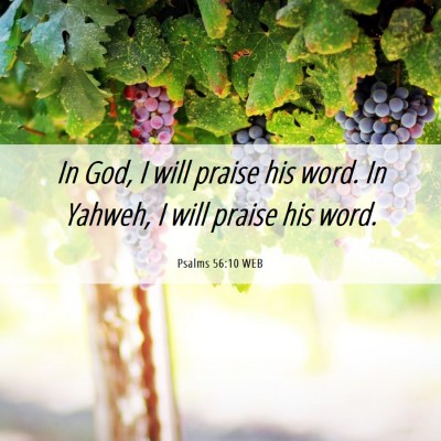 Picture 06 - Psalms 56:10 WEB - In God, I will praise his word. In Yahweh, I will - Bible Verse Picture