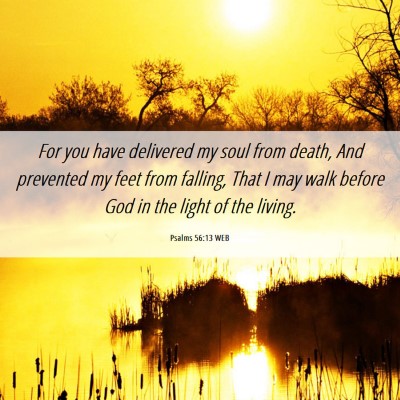 Picture 06 - Psalms 56:13 WEB - For you have delivered my soul from death, And - Bible Verse Picture