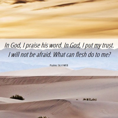 Picture 06 - Psalms 56:4 WEB - In God, I praise his word. In God, I put my - Bible Verse Picture