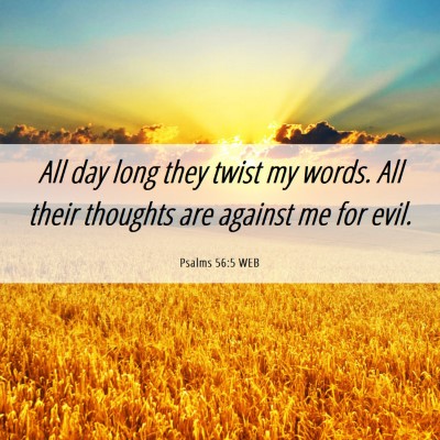 Picture 06 - Psalms 56:5 WEB - All day long they twist my words. All their - Bible Verse Picture