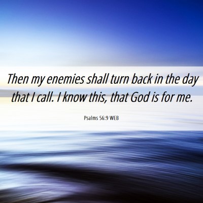 Picture 06 - Psalms 56:9 WEB - Then my enemies shall turn back in the day that I - Bible Verse Picture