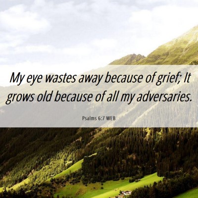 Picture 06 - Psalms 6:7 WEB - My eye wastes away because of grief; It grows old - Bible Verse Picture