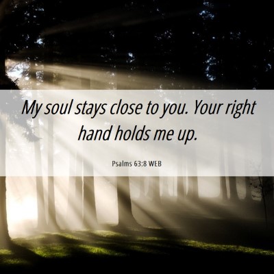 Picture 06 - Psalms 63:8 WEB - My soul stays close to you. Your right hand holds - Bible Verse Picture