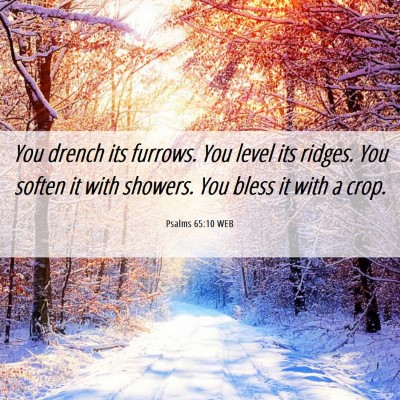 Picture 06 - Psalms 65:10 WEB - You drench its furrows. You level its ridges. You - Bible Verse Picture