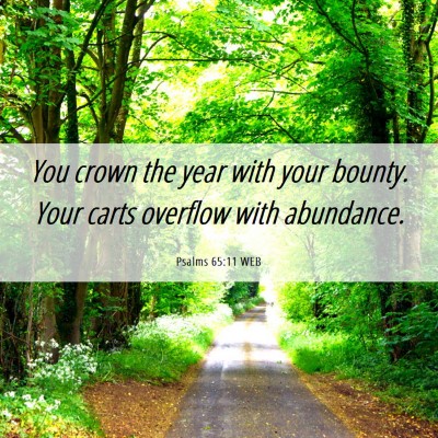 Picture 06 - Psalms 65:11 WEB - You crown the year with your bounty. Your carts - Bible Verse Picture