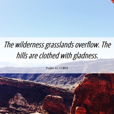 Picture 06 - Psalms 65:12 WEB - The wilderness grasslands overflow. The hills are - Bible Verse Picture